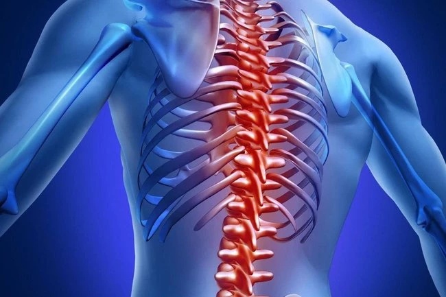 Заболевания спины: причины, профилактика и лечение