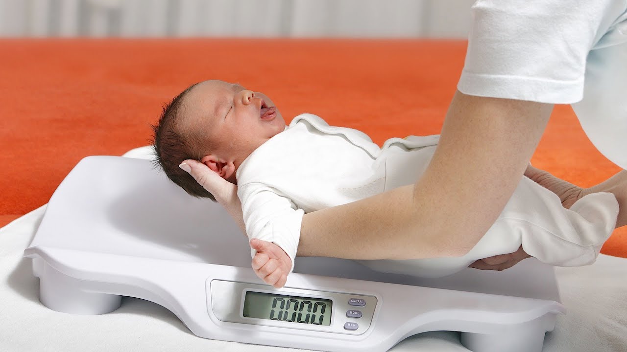 весы для новорожденных
