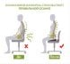 Купити Ортопедична подушка для сидіння - MODEL-1 з доставкою додому в інтернет-магазині ортопедичних товарів і медтехніки Ортоп