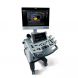 Купити УЗД апарат Acclarix LX8 з доставкою додому в інтернет-магазині ортопедичних товарів і медтехніки Ортоп