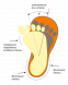 Купить Ортопедические сандалии для мальчиков, антиварус 08-801AV с доставкой на дом в интернет-магазине ортопедических товаров и медтехники Ортоп