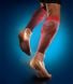 Купить Компрессионные спортивные гетры Venoflex с доставкой на дом в интернет-магазине ортопедических товаров и медтехники Ортоп