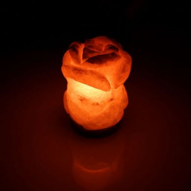 Соляна лампа SALTKEY ROSE (Троянда) 5,5 кг