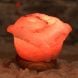 Купити Соляна лампа Бутон Троянди 1,5 - 1,8 кг з доставкою додому в інтернет-магазині ортопедичних товарів і медтехніки Ортоп